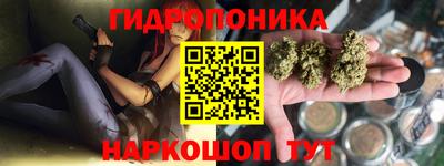 spice Кимры