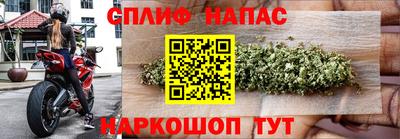 гидропоника Кинель