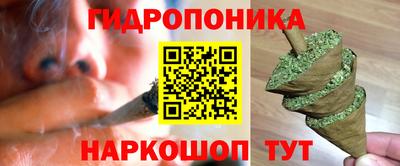spice Кимры